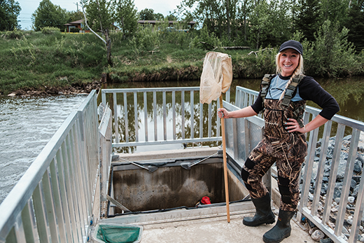 A woman wearing waders and holding a net stands on a platform over a river. At the end of the platform, behind her, is an opening to a concrete box set down into the platform, which serves as a sea lamprey trap.